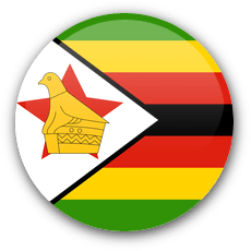 Zim_flag