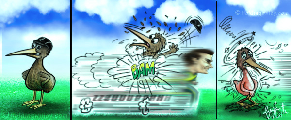 Dale Steyn Cartoon